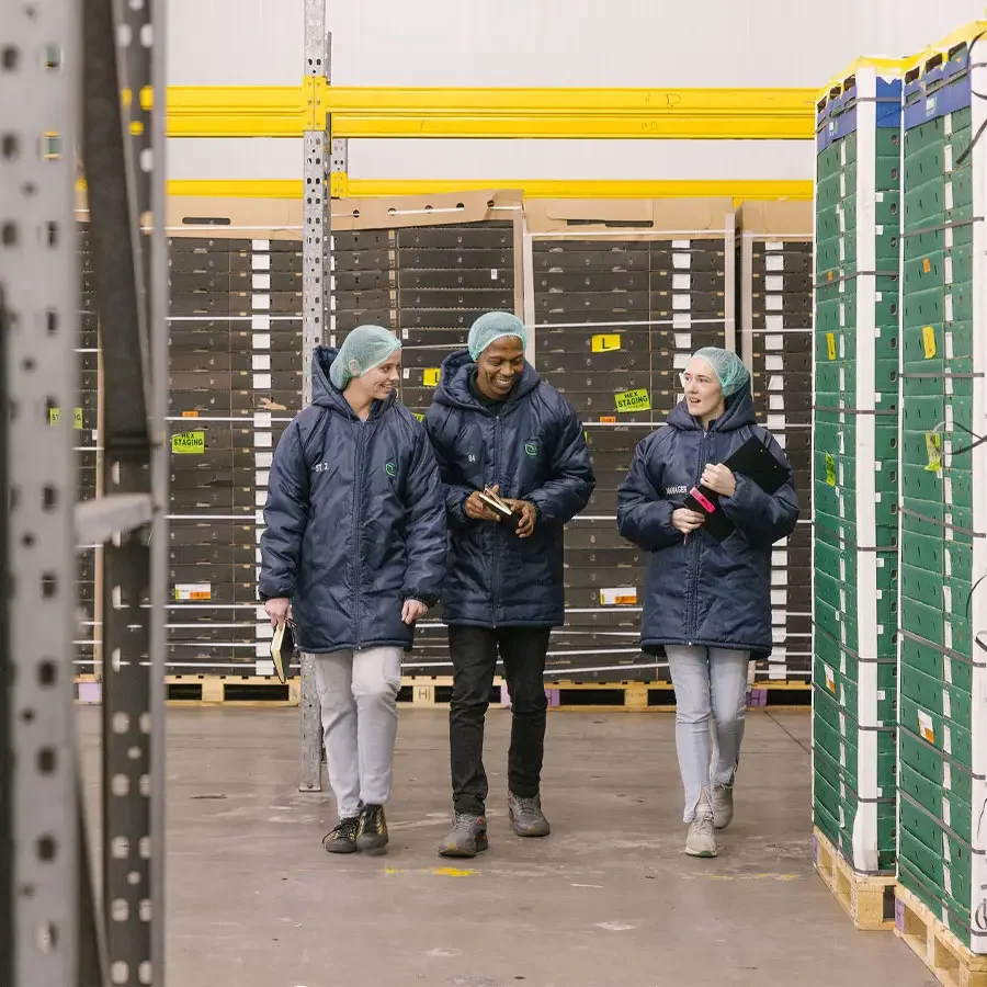Pallet-Cold-Storage